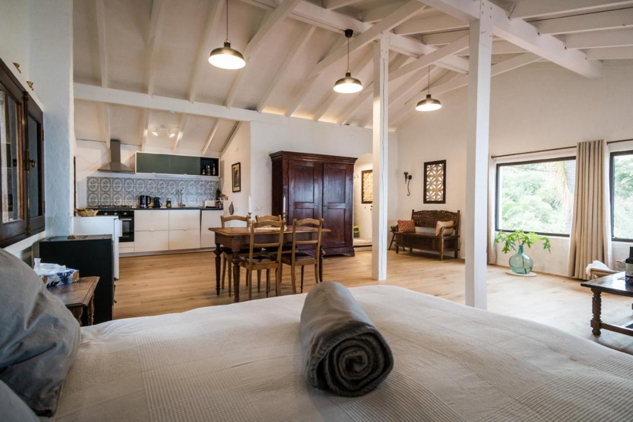 Ferienwohnung Finca Monica La Matanza De Acentejo Zewnętrze zdjęcie