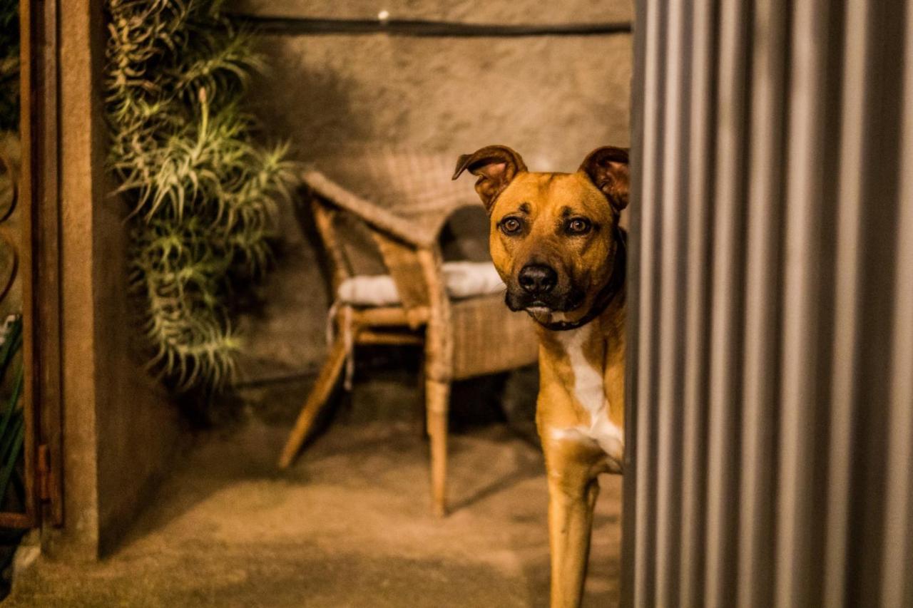 Ferienwohnung Finca Monica La Matanza De Acentejo Zewnętrze zdjęcie