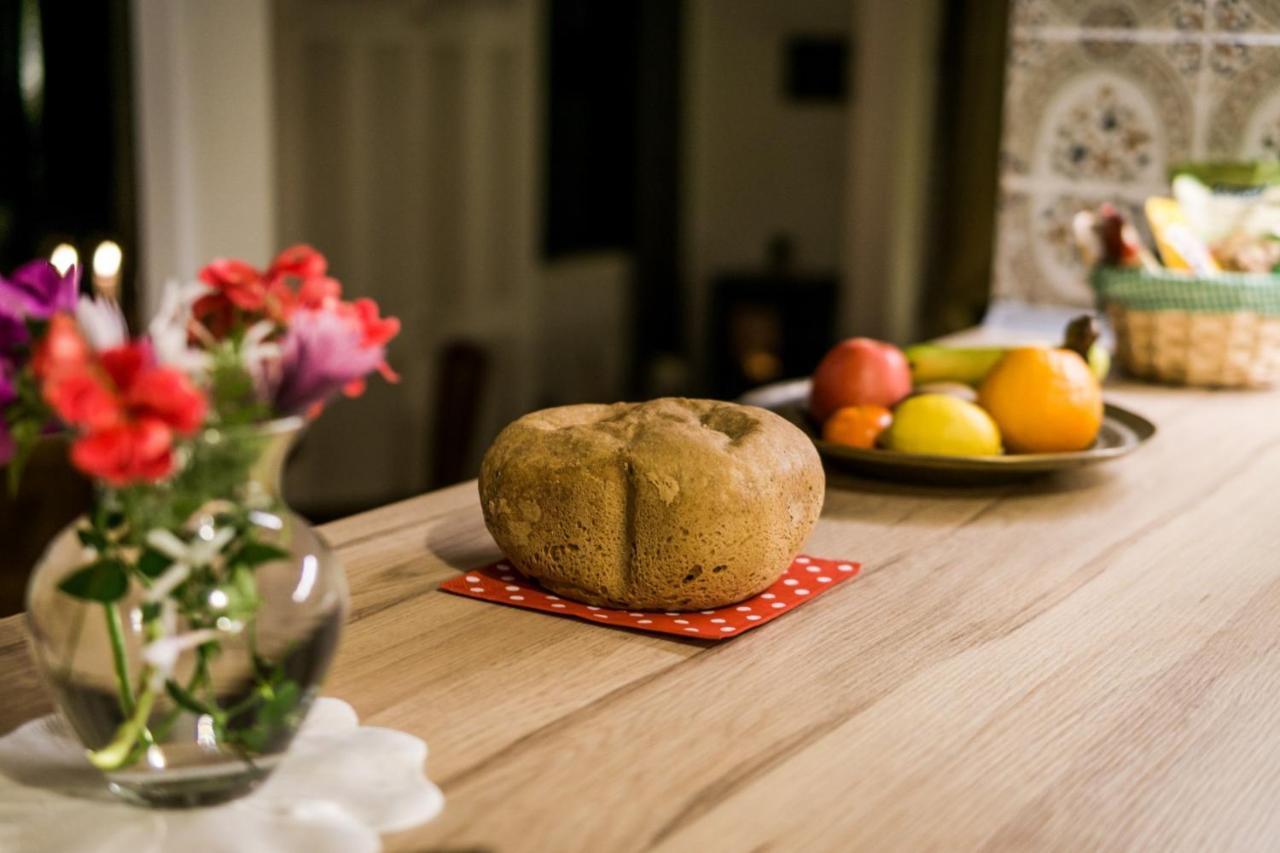 Ferienwohnung Finca Monica La Matanza De Acentejo Zewnętrze zdjęcie
