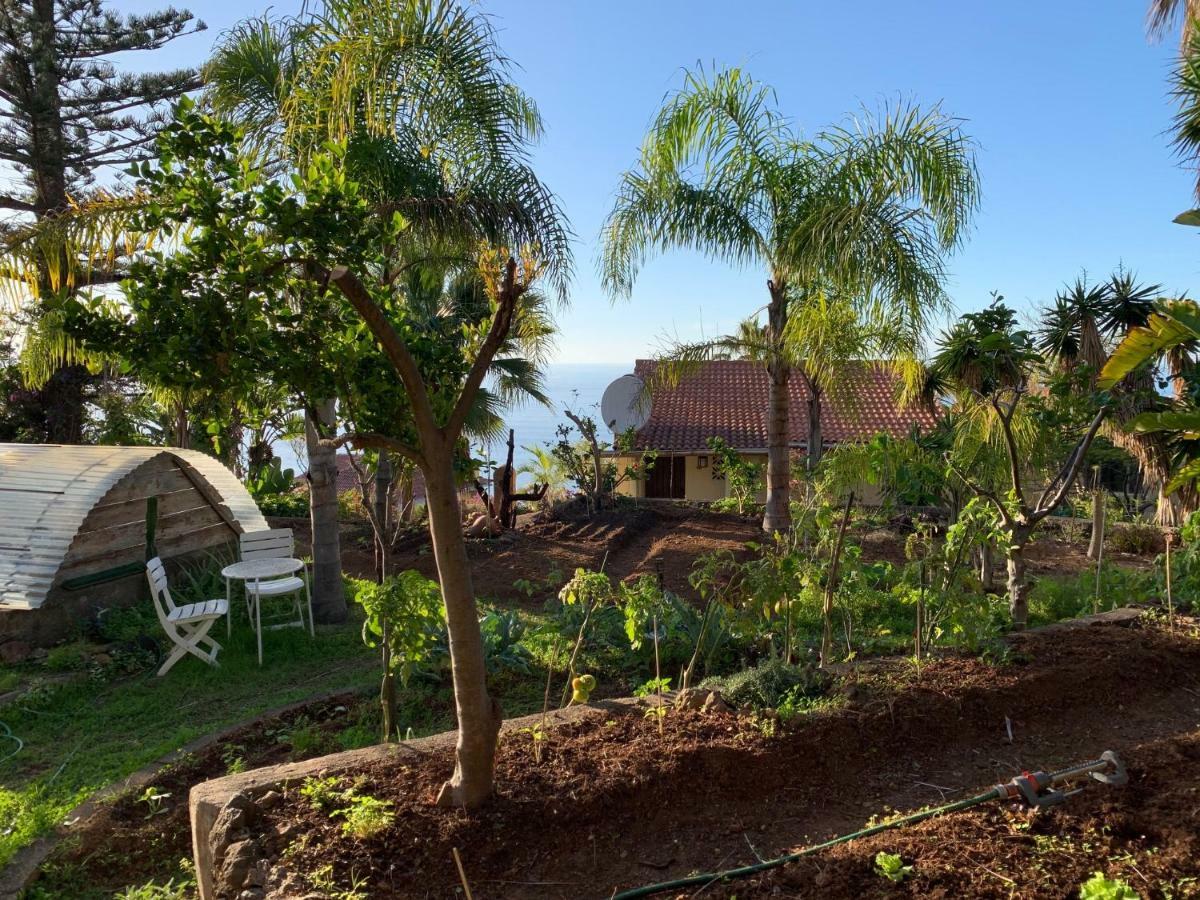 Ferienwohnung Finca Monica La Matanza De Acentejo Zewnętrze zdjęcie