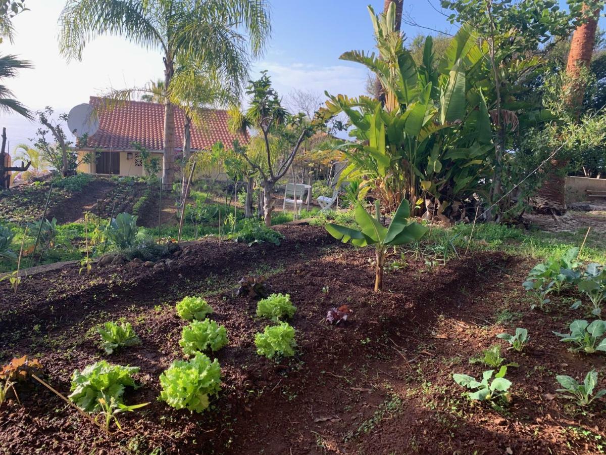 Ferienwohnung Finca Monica La Matanza De Acentejo Zewnętrze zdjęcie